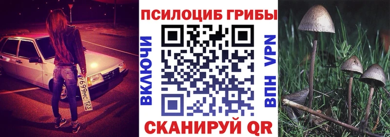 Псилоцибиновые грибы ЛСД  Купить где  Новомосковск 